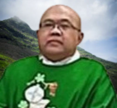 Pastor Rekan (Romo Ari)